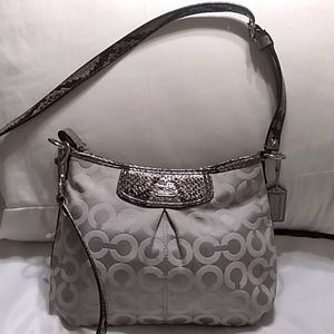 Gorgeous purse